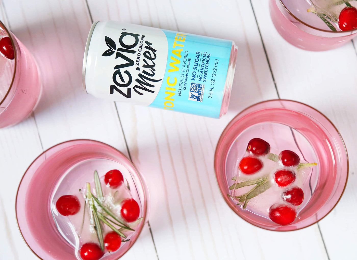 Cranberry & Rosemary Gin and Tonic with Infused Ice Cubes