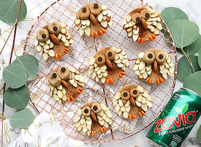 Zevia Ginger Ale Gingerbread Owl Cookies